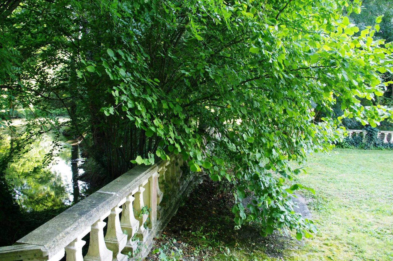 Domaine De Pladuc Bed & Breakfast Lachaise Exterior photo